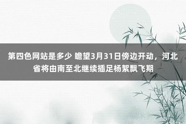 第四色网站是多少 瞻望3月31日傍边开动，河北省将由南至北继续插足杨絮飘飞期