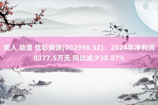 成人 动漫 优彩资源(002998.SZ)：2024年净利润8377.5万元 同比减少38.87%