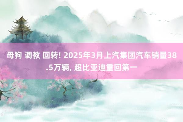 母狗 调教 回转! 2025年3月上汽集团汽车销量38.5万辆, 超比亚迪重回第一