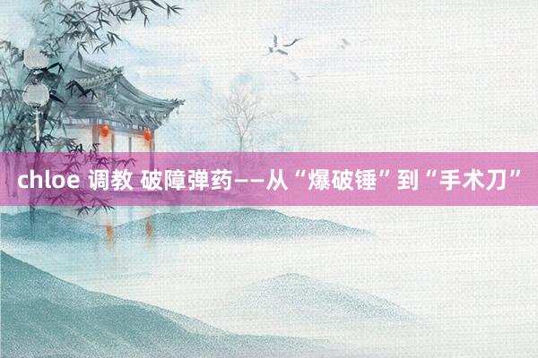 chloe 调教 破障弹药——从“爆破锤”到“手术刀”