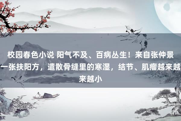 校园春色小说 阳气不及、百病丛生！来自张仲景的一张扶阳方，遣散骨缝里的寒湿，结节、肌瘤越来越小