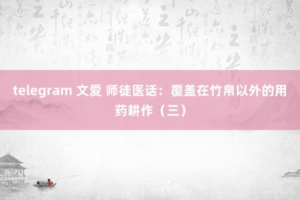 telegram 文爱 师徒医话：覆盖在竹帛以外的用药耕作（三）
